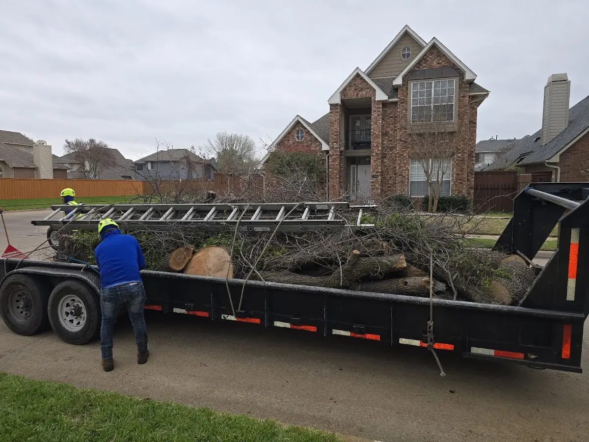 Expert Lot Clearing with proper safety equipment in Dana